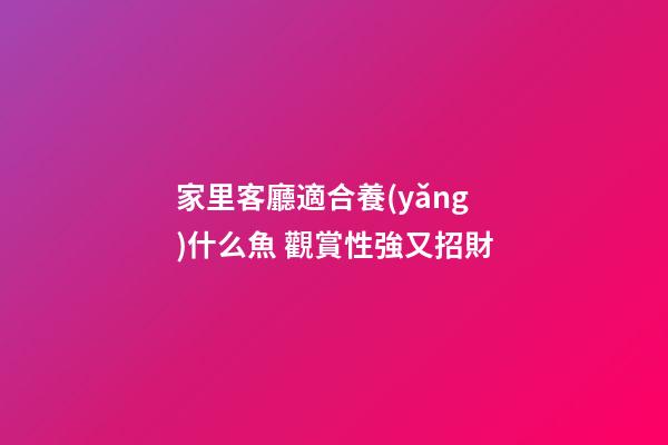 家里客廳適合養(yǎng)什么魚 觀賞性強又招財